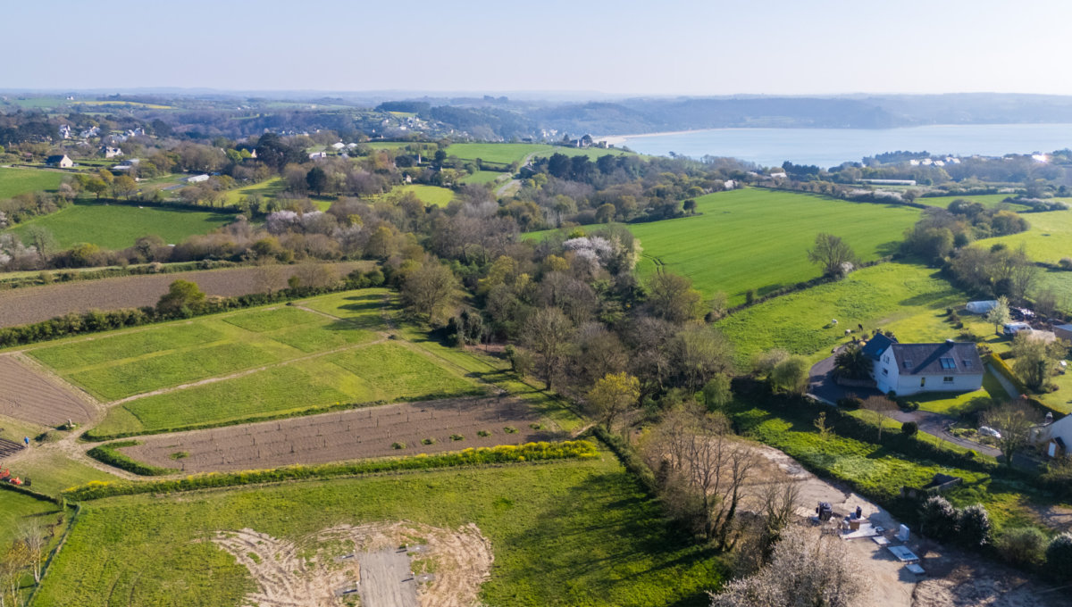 RARE - GRAND TERRAIN A BATIR A PROXIMITE DE LA MER Terrain Vente
