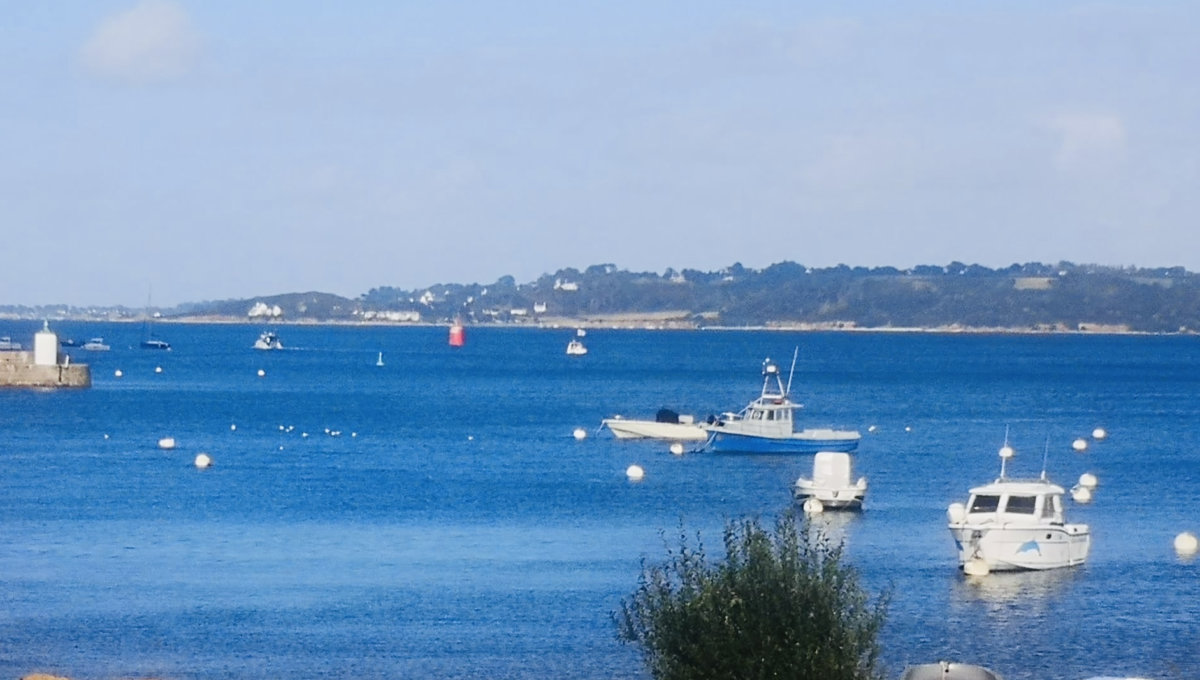 PERROS-GUIREC - Bel Appartement 2 Chambres - VUE MER Appartement Vente